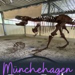 Münchehagen Dinosaur Park: Germany's Jurassic Park, with more than 300 REAL dinosaur tracks. What you need to know before you go (and why you should).
