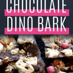 Pin: Fun chocolate dinosaur bark with iclose up image showing footprints, fossil bones and eggs