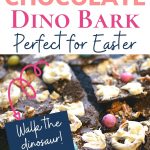 Pin: How to make chocolate dinosaur bark: perfect for Easter; walk the dinosaur