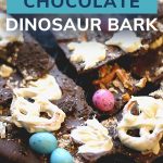 Pin: How to make chocolate dinosaur bark, with close up of footprints, fossils and eggs