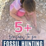 5+ reasons to go fossil hunting in the Altmühl Valley, with image of our LDA trying to separate a piece of limestone from the rest at Blumenberg Quarry