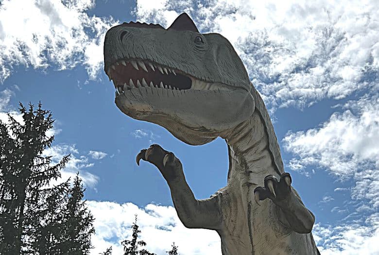 Allosaurus, the largest Jurassic predator, at Blumenberg Quarry