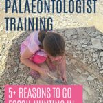 Future Palaeontologist Training: 5+ reasons to go fossil hunting in the Altmühl Valley, pin with image of our LDA fossil hunting at Blumenberg Quarry