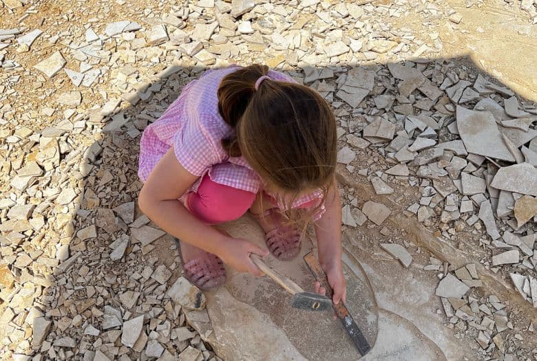 Our LDA, fossil hunting in the Altm&uuml;hl Valley at Blumenberg Quarry near Eichst&auml;tt
