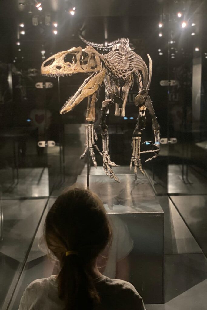 Our LDA admiring Little Al, the smallest Allosaurus ever found, at the Dinosaur Museum Altm&uuml;hltal