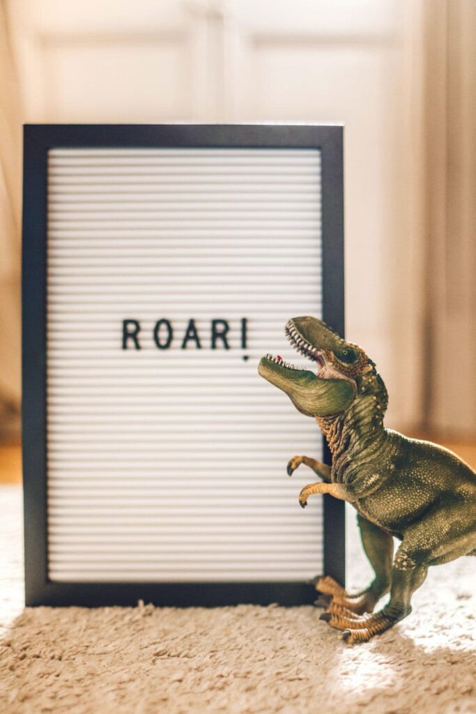 Budget dinosaur party idea - add a sign! In this case it's just a simple "Roar!" on a letter board
