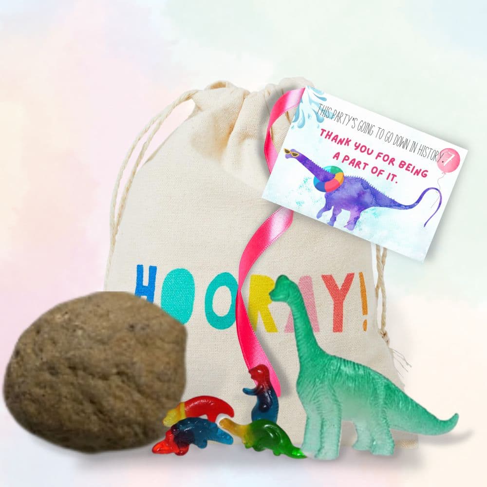 Budget dinosaur party ideas: Be creative with your guest favours. We had some small toy dinosaurs from the place settings, dinosaur candy from the pinata and small geodes we got on sale at a dinosaur park. Add a cute thank your label and your're good to go.