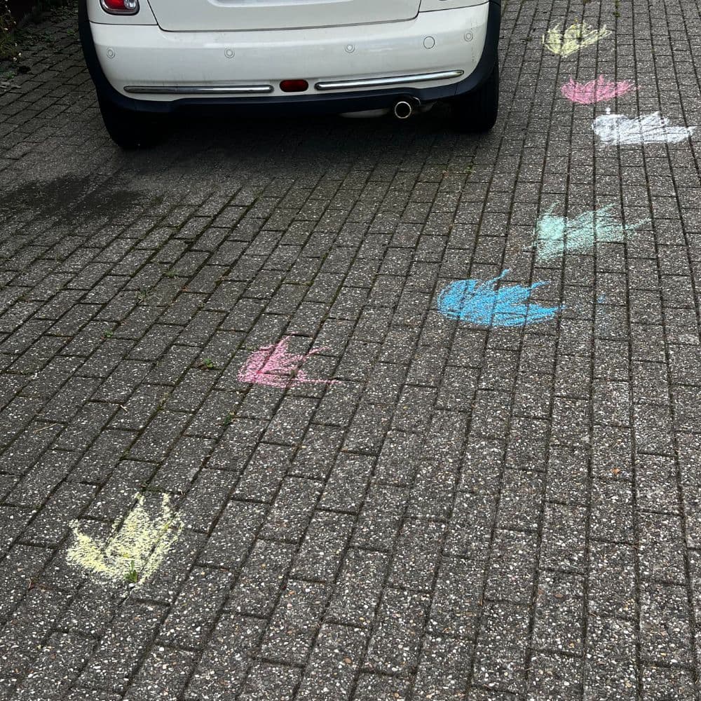 Budget dinosaur party ideas: add a sign, even dinosaur footprints drawn in chalk to show guests where to go