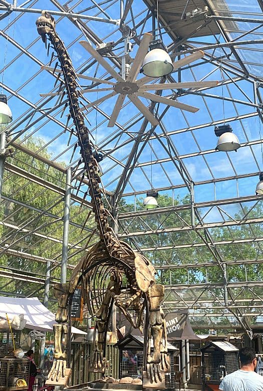Brachiosaurus fossil in the Paleo lab, here visitors can paint, crack geodes and build something from clay.
