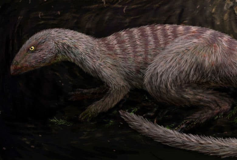 Oryctodromeus in a burrow, the 18th and newest Official State Dinosaur